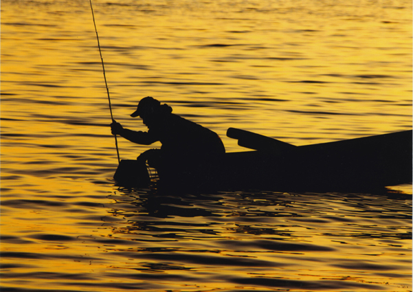 展示作品の一つ「タコ漁」＝大塚海岸で尼崎猶一さん撮影