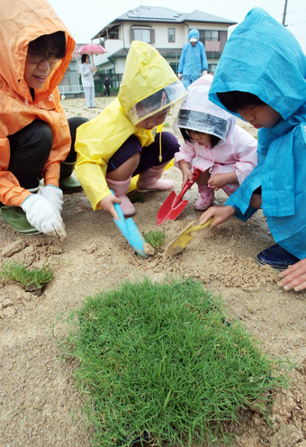 赤穂市初の芝生化が取り組まれた御崎第一公園