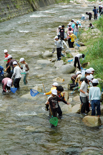 千種川の上流部で水生生物を調べる子どもたち