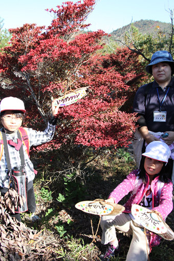 雄鷹台山の木々に樹名札を取り付けた赤穂小児童