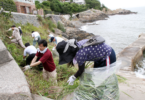 御崎の海岸遊歩道を清掃する赤穂観光協会の関係者