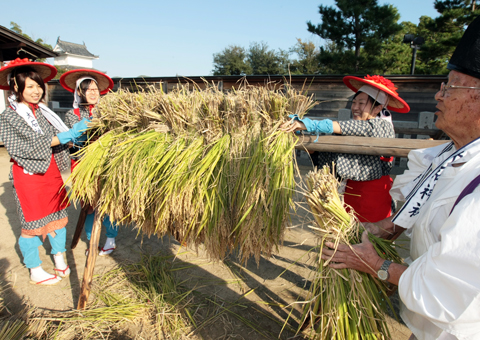抜穂祭で刈り取った稲を神前に供える早乙女たち