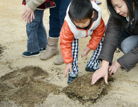 子どもたちも手伝った御崎第一公園の芝生化作業＝元禄橋町自治会提供