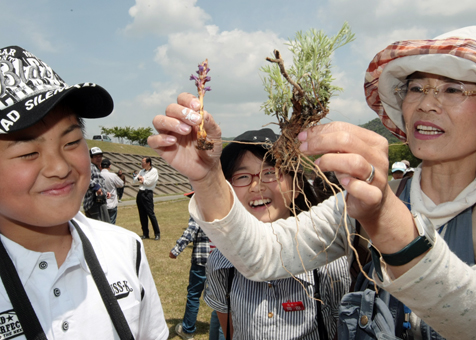 絶滅危惧種のハマウツボを見学した観察会