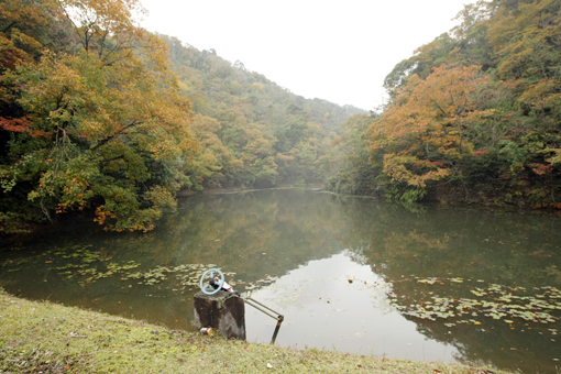 大阪の事業者が産廃最終処分場を計画している西有年大山峠南の一帯