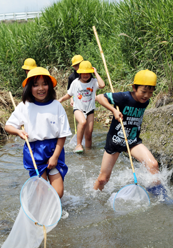 子どもたちが網を手に生き物を探した「長谷川探検」