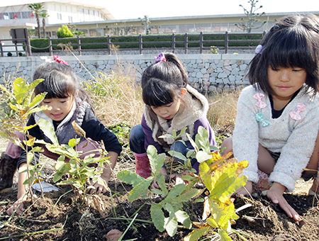 加里屋川のビオトープにアベマキの苗を植える子どもたち