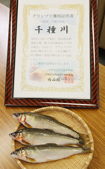 「清流めぐり利き鮎会」で日本一の称号に輝いた千種川のアユ