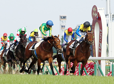 友道康夫調教師に初のダービー制覇をもたらしたマカヒキ=右端