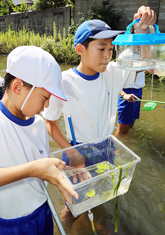 小学生も参加した千種川水生生物調査
