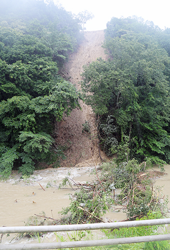 斜面が崩落して土砂と樹木が長谷川に流れ込んだ東有年の山林