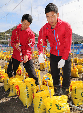 赤穂で新規就農した榊原昂輝さん(右)と小川敬生さん