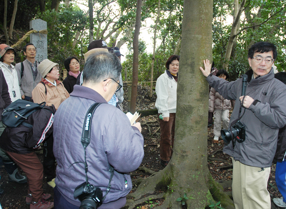 生島の貴重な樹林を観察した環境学習会＝右端が服部教授