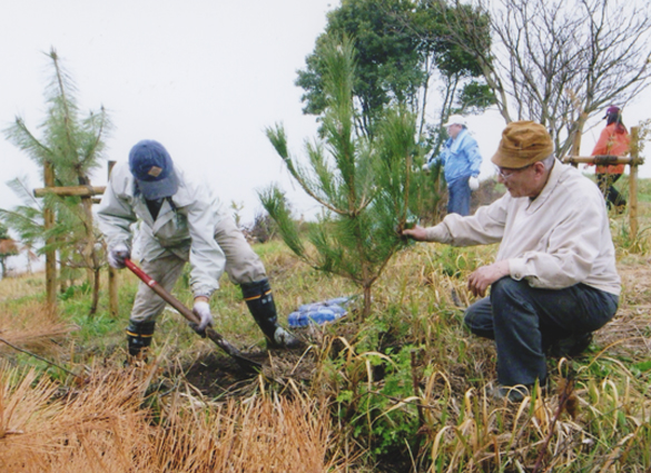唐船山で行われた植樹活動