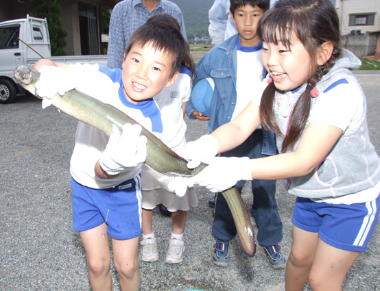 用水路で捕獲されたジャンボウナギ。初めてみる生きたウナギに子どもたちも大喜び