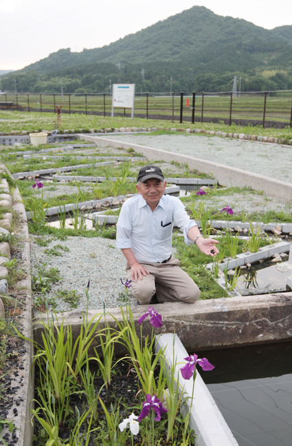 カワニナの繁殖に成功した西有年のビオトープ