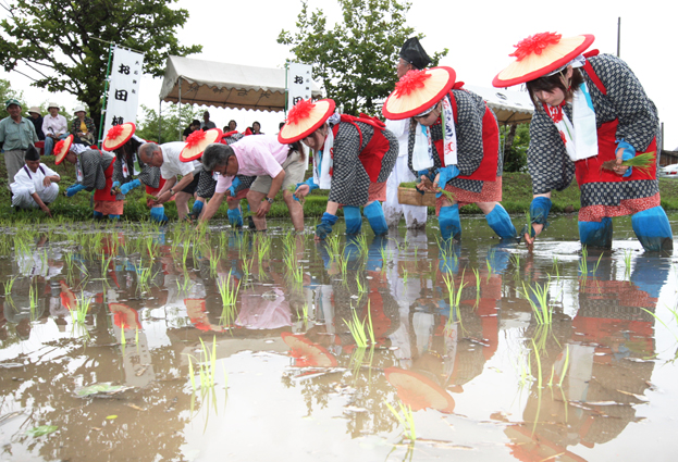 早乙女らが願いを込めて行った「お田植祭」