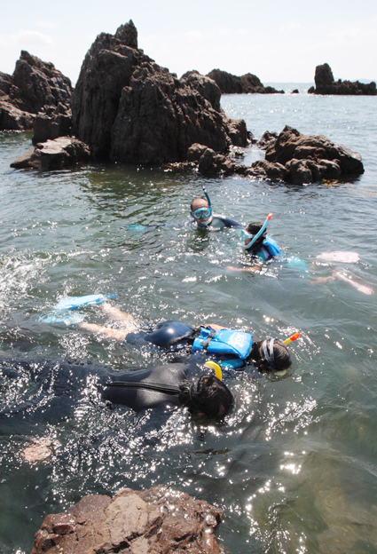 御崎・大塚海岸で行われた水中生物観察会