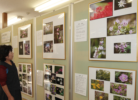 坂越まち並み館で開催中の写真展