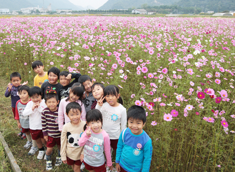 当日にダンスを演じる有年幼稚園の子どもたちとコスモス畑