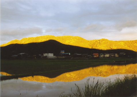 展示作品の一つ