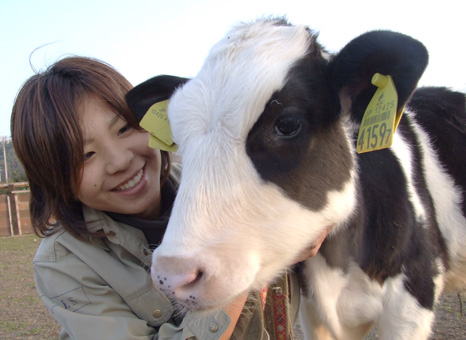 一緒に記念写真を撮影できる子ウシの「ごくう」