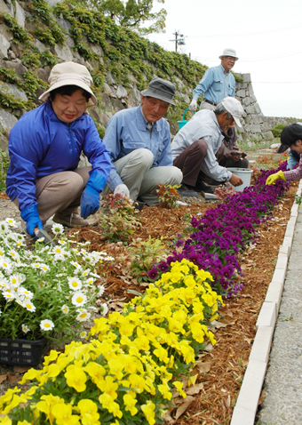 花壇の手入れをするメンバー