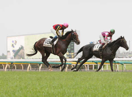 不良馬場がこたえて自慢の末脚を発揮できず12着に敗れたアンライバルド号(左)