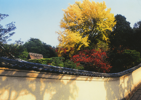 恒例の一般公開が行われる田淵庭園
