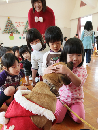 犬と触れ合う園児たち