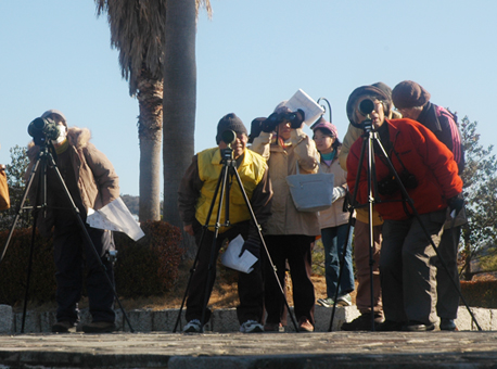 野鳥に目を凝らすバードウオッチングの参加者