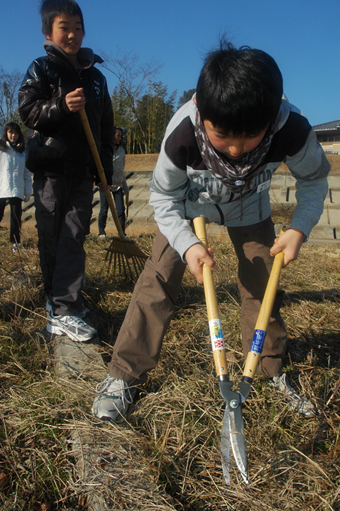 希少植物「ハマウツボ」の保護活動に取り組む高雄小児童