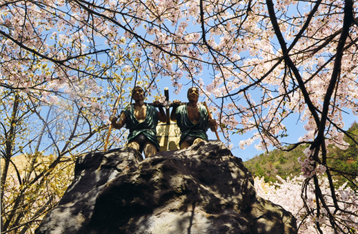 赤穂のサクラ写真展の作品の一つ