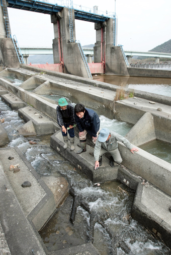 魚道への通水が始まった中山頭首工