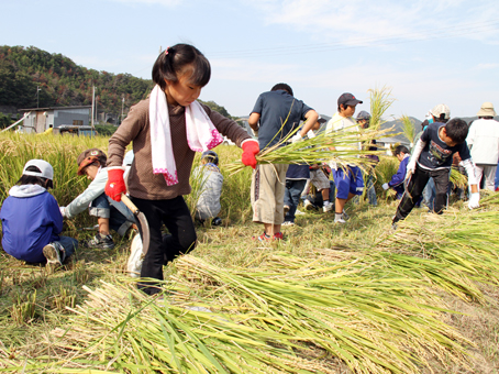 稲刈りを体験する高雄小の子どもたち