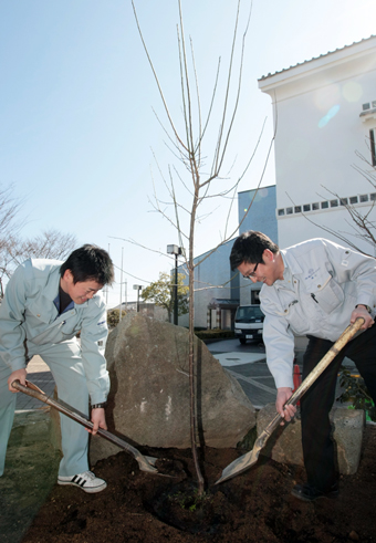 ペットボトルのリサイクル益を活用してウメを植樹する赤穂青年会議所メンバー