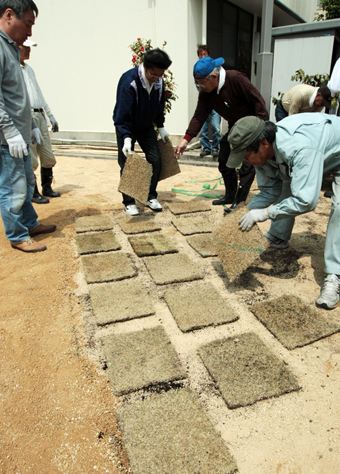 住民ボランティアが芝生を植え替えた花岳寺門前広場