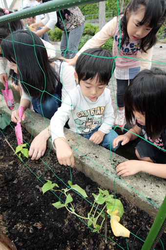 住民主体の緑化活動が行われた御崎第一公園