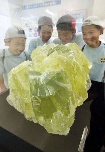 海洋科学館の特別展で目を引く酸化マグネシウム単結晶