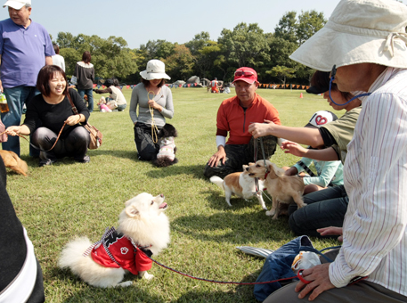 海浜公園で行われた犬のしつけクリニック