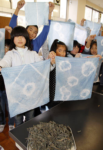 地元で栽培された藍を使った草木染め体験