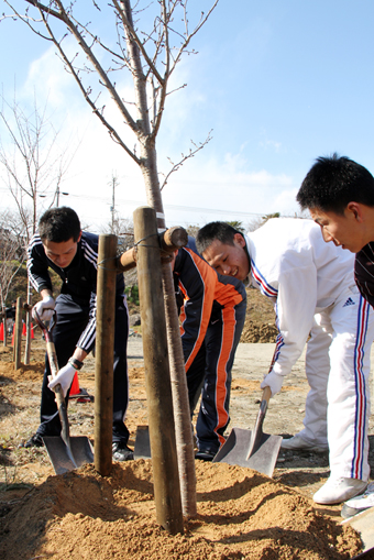 旧御崎小跡地にサクラを植える市職員