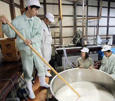 自校で栽培した酒米で醸造体験中の上郡高生