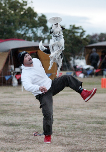 飼い主と犬が息の合ったパフォーマンスを披露したディスクドッグ競技会