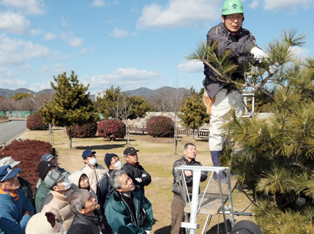クロマツなど剪定のコツを学んだ実技講習会