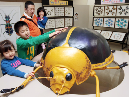 大型模型や約400点の標本が並ぶ海洋科学館の企画展示