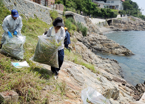 海開きを前に行われた御崎海岸遊歩道のクリーン作業