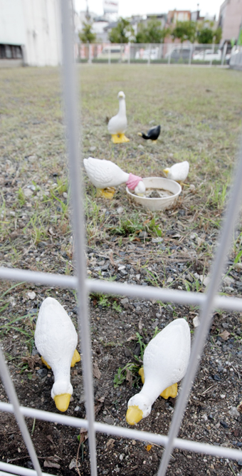 加里屋のJR播州赤穂駅近くの空き地に置かれているアヒルのオブジェ