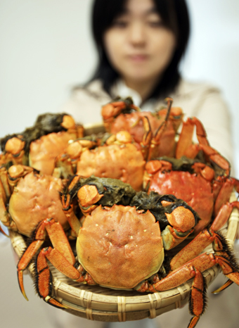 濃厚な味が楽しめる千種川のモクズガニ