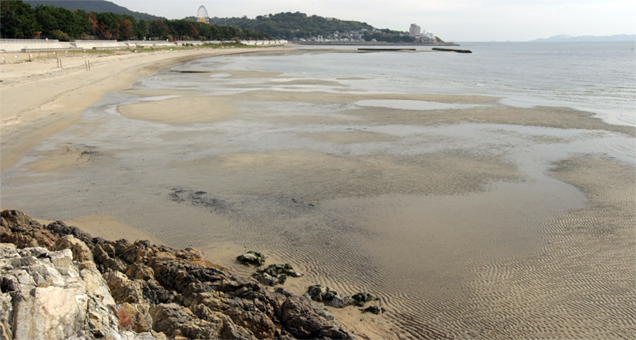 暫定対策工事によって一部区域で海水浴場をオープンできる見通しとなった唐船海岸